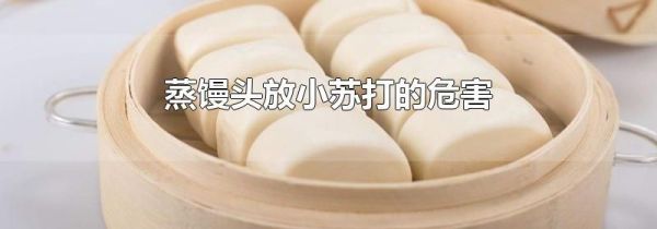 蒸馒头放小苏打的危害