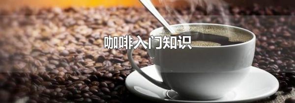 咖啡入门知识