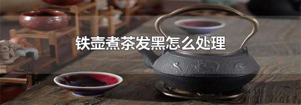 铁壶煮茶发黑怎么处理