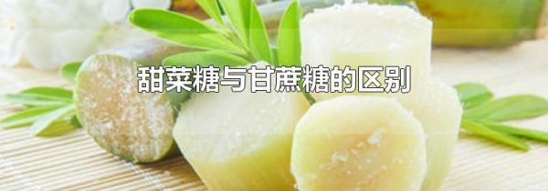 甜菜糖与甘蔗糖的区别