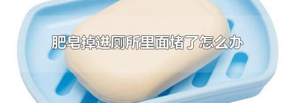 肥皂掉进厕所里面堵了怎么办