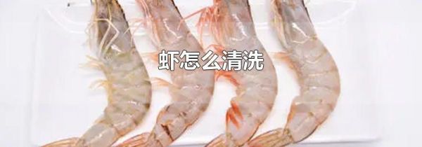 虾怎么清洗