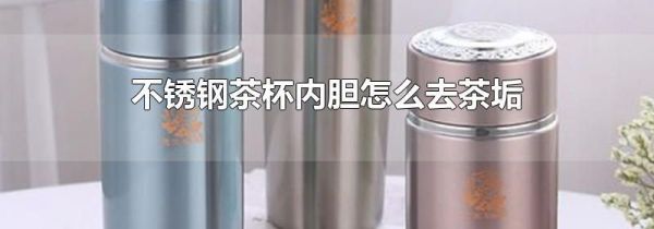 不锈钢茶杯内胆怎么去茶垢