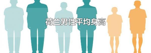 荷兰男性平均身高