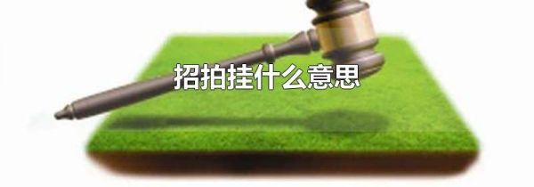 招拍挂什么意思