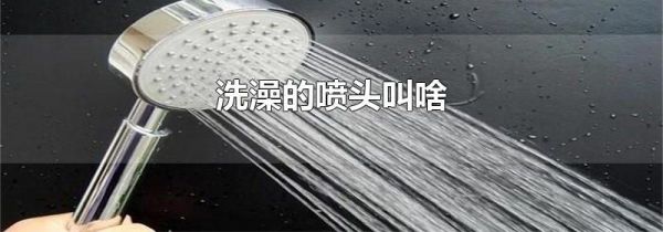 洗澡的喷头叫啥