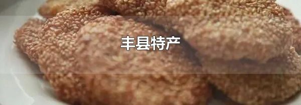 丰县特产