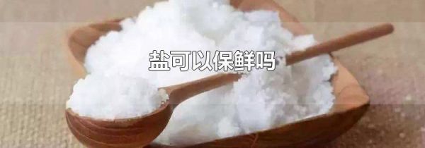 盐可以保鲜吗