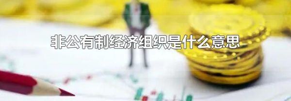 非公有制经济组织是什么意思