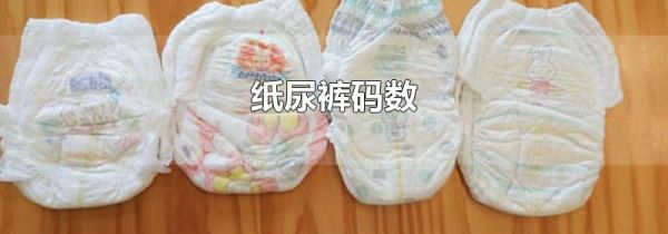 纸尿裤码数