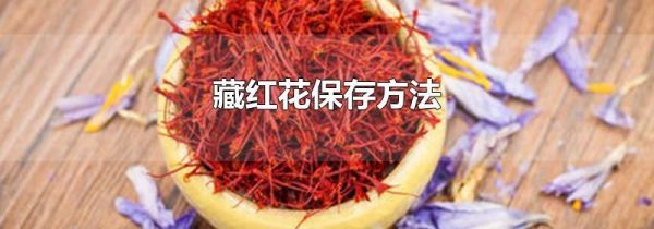 藏红花保存方法