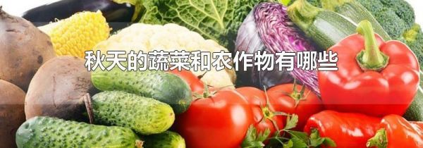秋天的蔬菜和农作物有哪些