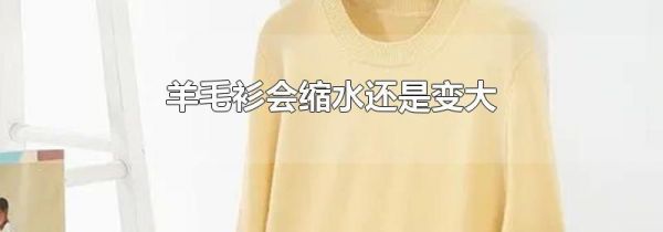 羊毛衫会缩水还是变大