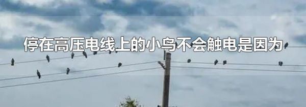 停在高压电线上的小鸟不会触电是因为