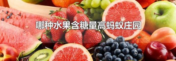 哪种水果含糖量高蚂蚁庄园
