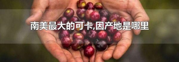 南美最大的可卡,因产地是哪里