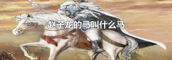 赵子龙的马叫什么马