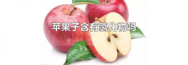 苹果子含有氢化物吗