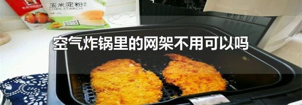 空气炸锅里的网架不用可以吗