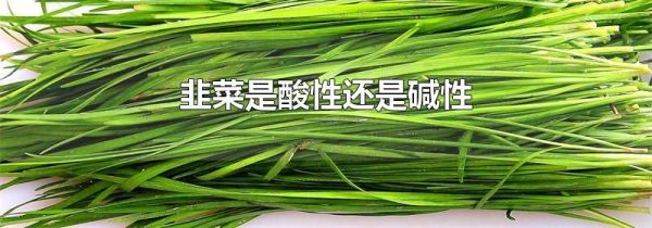 韭菜是酸性还是碱性