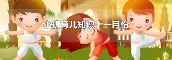 小班育儿知识十一月份