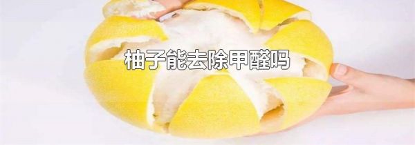 柚子能去除甲醛吗