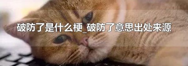 破防了是什么梗_破防了意思出处来源