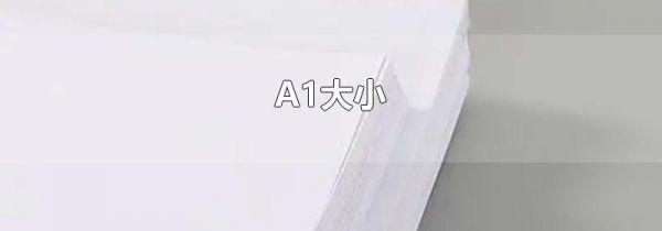 A1大小