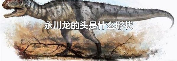 永川龙的头是什么形状
