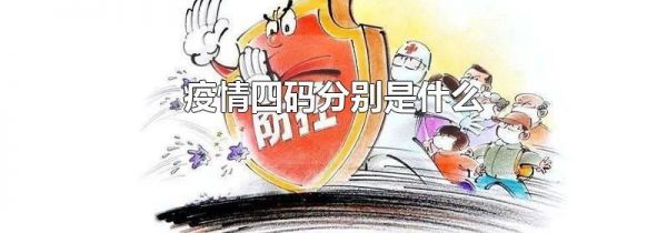 疫情四码分别是什么