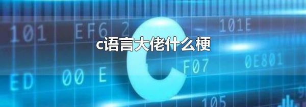 c语言大佬什么梗