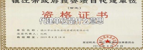 代建单位是什么意思