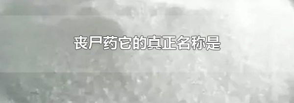 丧尸药它的真正名称是