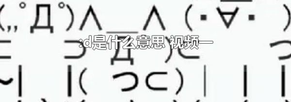 :d是什么意思 视频一