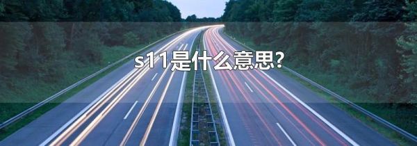 s11是什么意思?