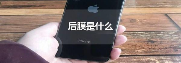 后膜是什么