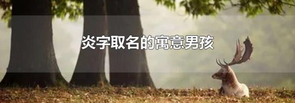 炎字取名的寓意男孩