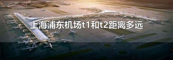上海浦东机场t1和t2距离多远