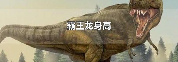 霸王龙身高