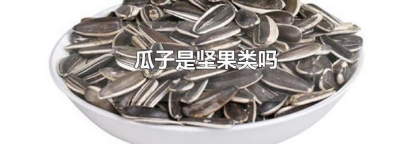 瓜子是坚果类吗