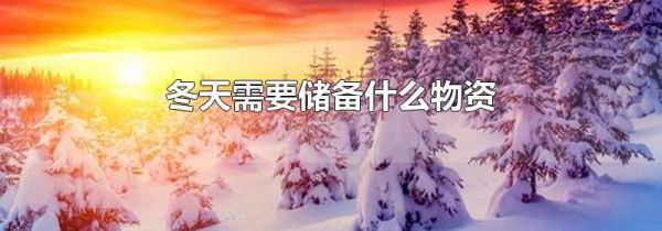 冬天需要储备什么物资
