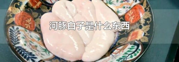 河豚白子是什么东西