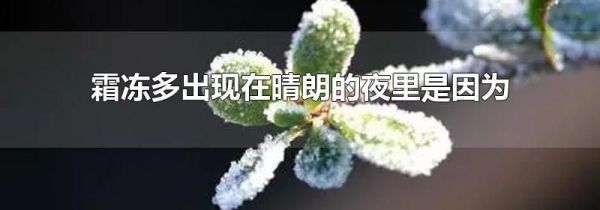 霜冻多出现在晴朗的夜里是因为