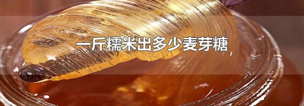 一斤糯米出多少麦芽糖