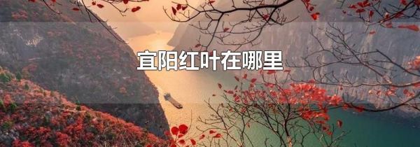 宜阳红叶在哪里