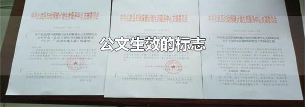 公文生效的标志