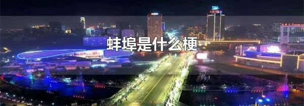 蚌埠是什么梗