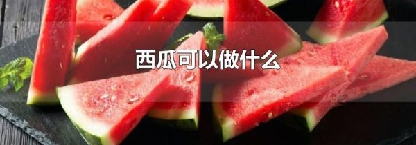 西瓜可以做什么