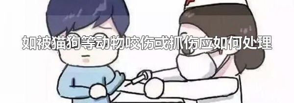 如被猫狗等动物咬伤或抓伤应如何处理