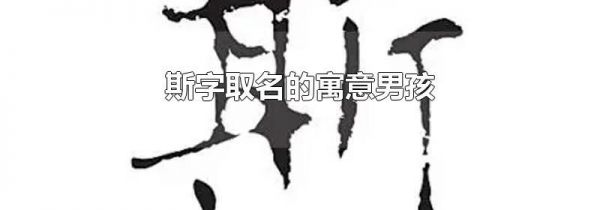 斯字取名的寓意男孩